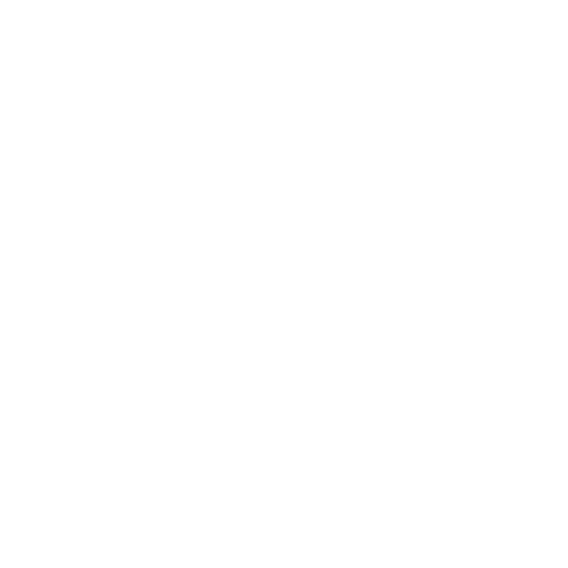 government government